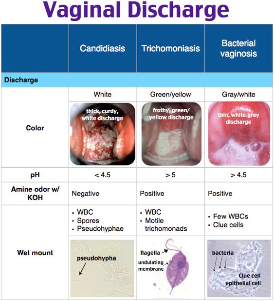 Αιμόφιλος του κόλπου  , Gardnerella vaginalis διαφορική διάγνωση 